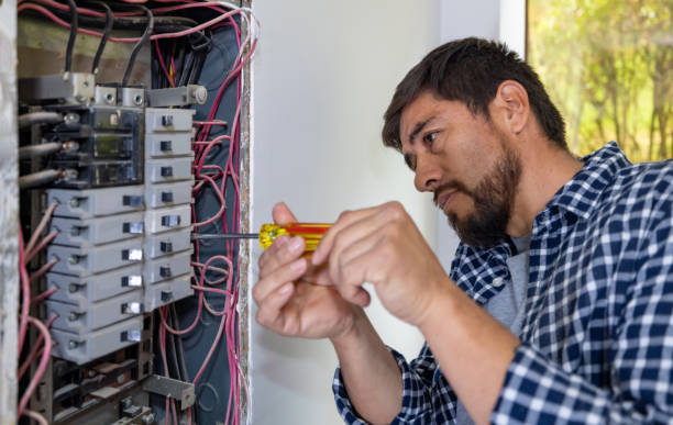 Best Electric Panel Repair  in La Vernia, TX